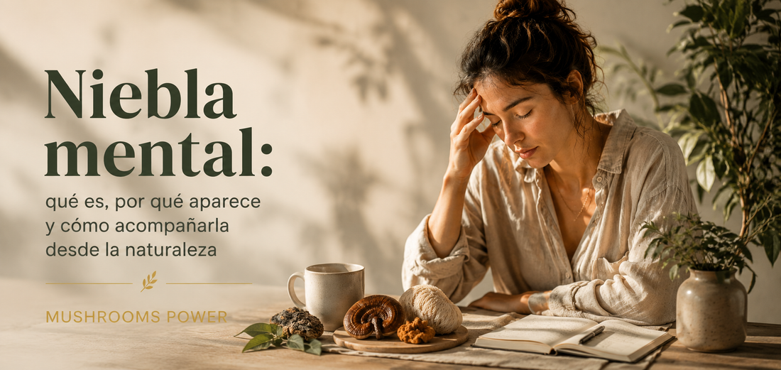 Niebla mental: qué es, por qué aparece y cómo acompañarla desde la naturaleza