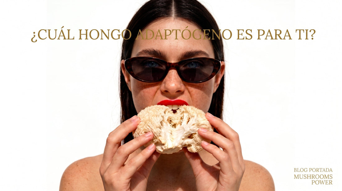 ¿Cuál hongo funcional o adaptógeno es para ti?