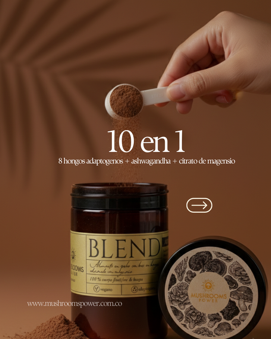 Blend 10 en 1
