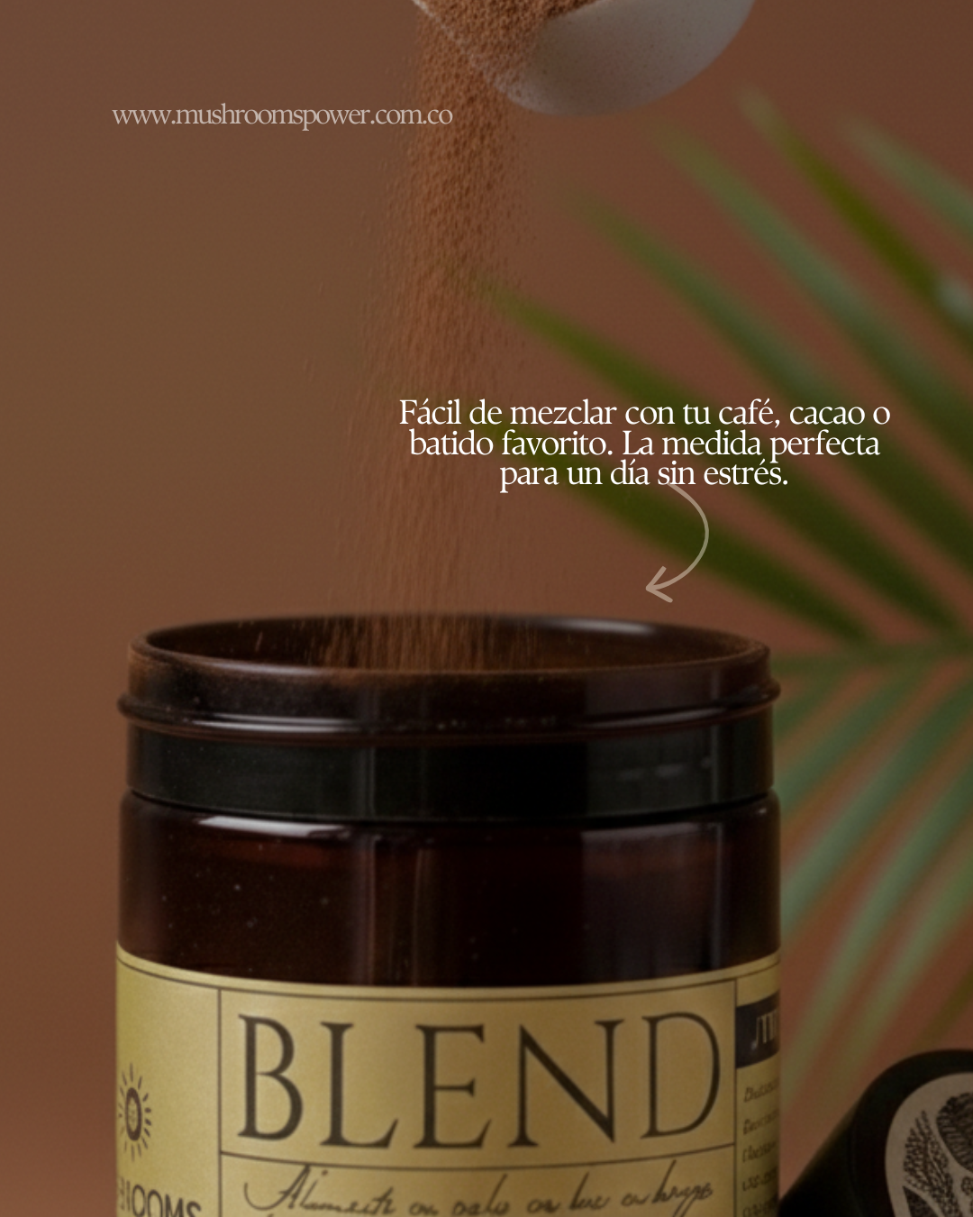 Blend 10 en 1